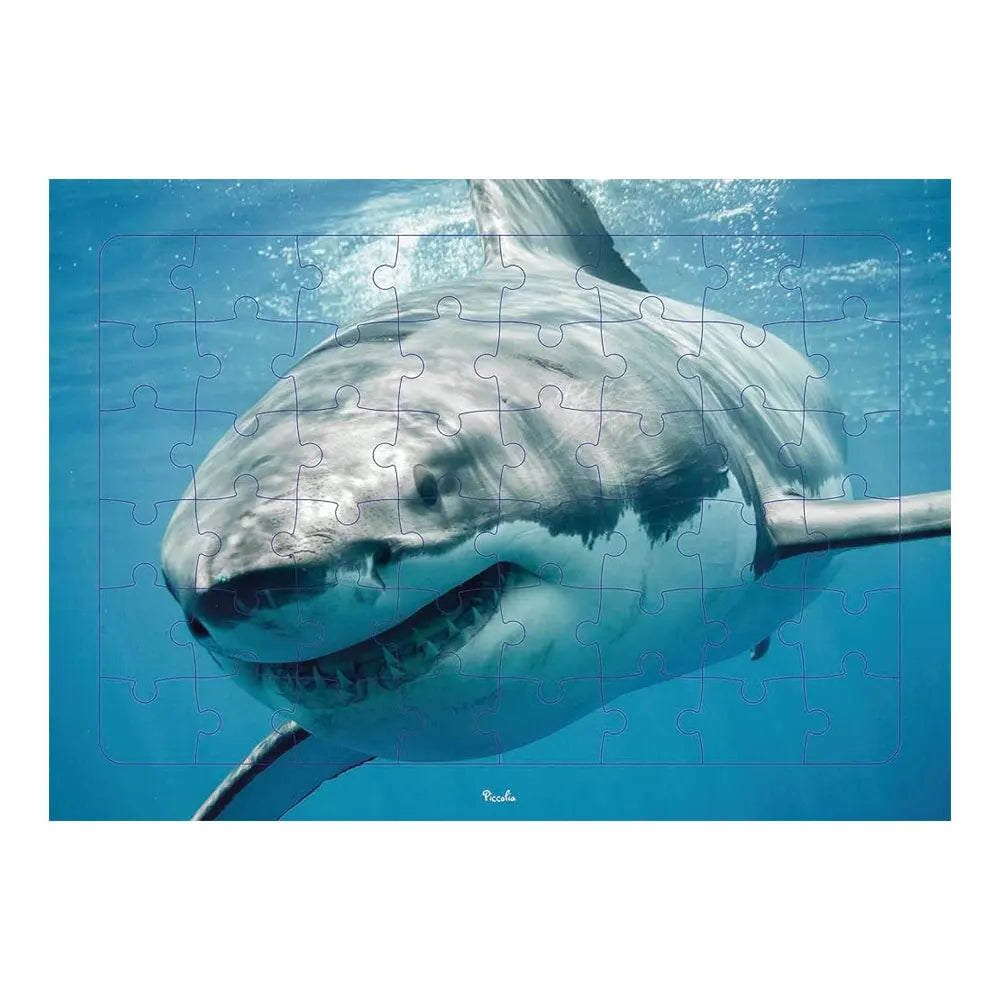 Le requin au cœur du bleu : puzzle photo 48 pièces dès 4 ans