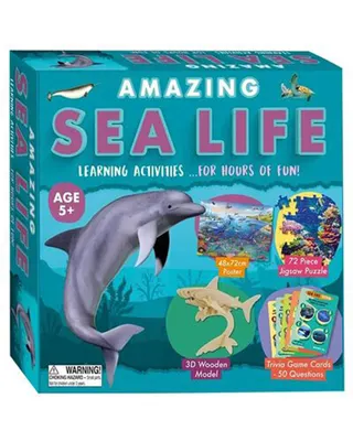 Coffret d’activités : découvertes de la vie marine