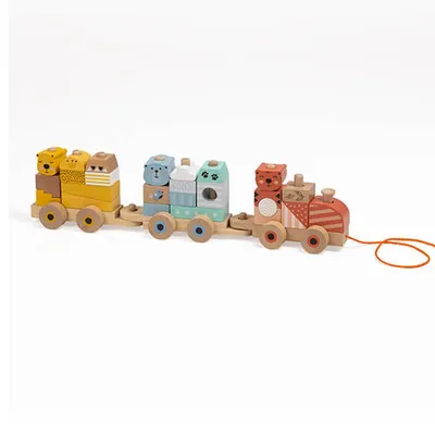 Train Jungle à Assembler et Tirer, 23 Blocs en Bois 18M+