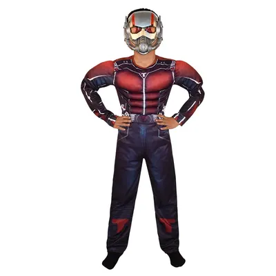 Mission miniature : costume Ant-Man enfant avec demi-masque