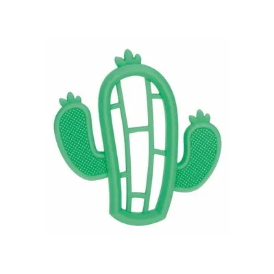 Anneau de dentition cactus en silicone vert, dès 3 mois