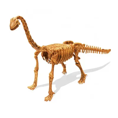 Mission Brachiosaure : squelette à exhumer et à assembler