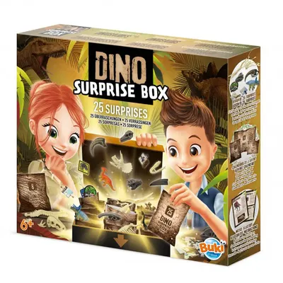 25 pochettes Dino à découvrir – coffret Buki dès 6 ans