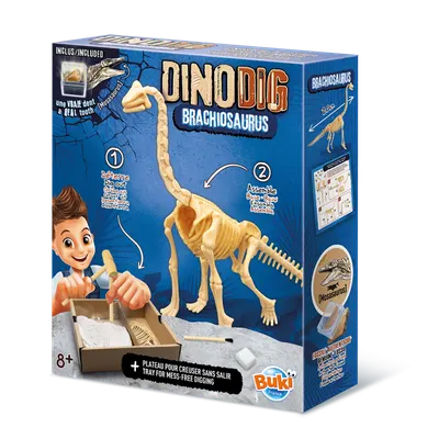 Kit Fouille Dinosaure Brachiosaurus Buki 8+