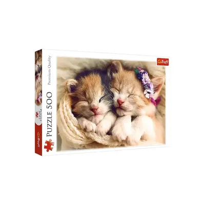 Deux chatons dans les bras de Morphée — puzzle 500 pièces