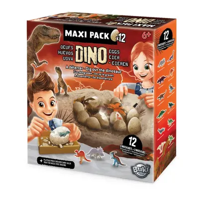 Coffret d’exploration : 12 œufs de dinosaures à découvrir, dès 6 ans