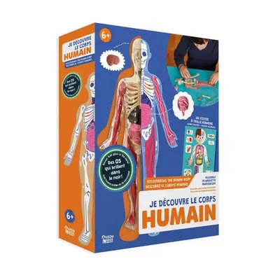 Coffret d’anatomie à assembler avec poster géant, dès 6 ans