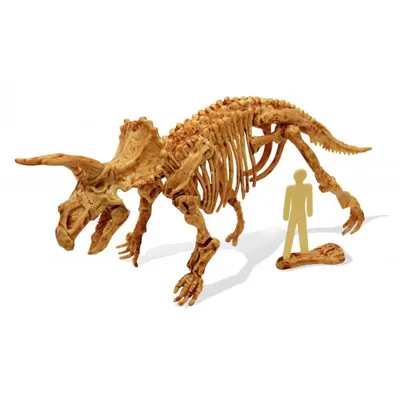 Le Tricératops enfoui : fouille, assemblage et recharge