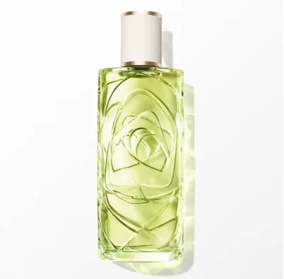 Ôff Now Lancôme, eau de toilette boisée aux agrumes 100 ml