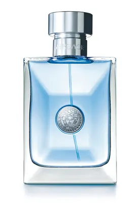 Versace Pour Homme, parfum masculin aux notes méditerranéennes, 100 ml